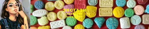 ECSTASY Ельня