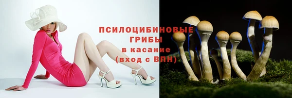 хмурый Елабуга