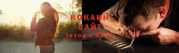 гидропоника Дмитровск