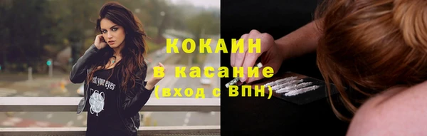 ECSTASY Ельня