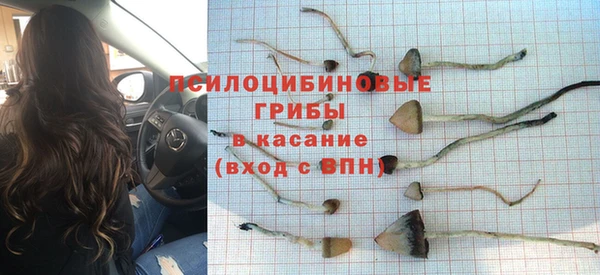 гидропоника Дмитровск