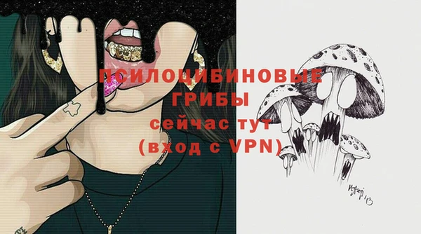 ECSTASY Ельня
