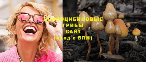ECSTASY Ельня